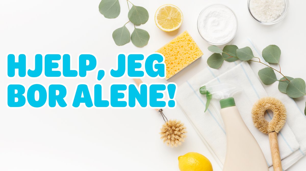 Hjelp, Jeg Bor Alene! – Wolt